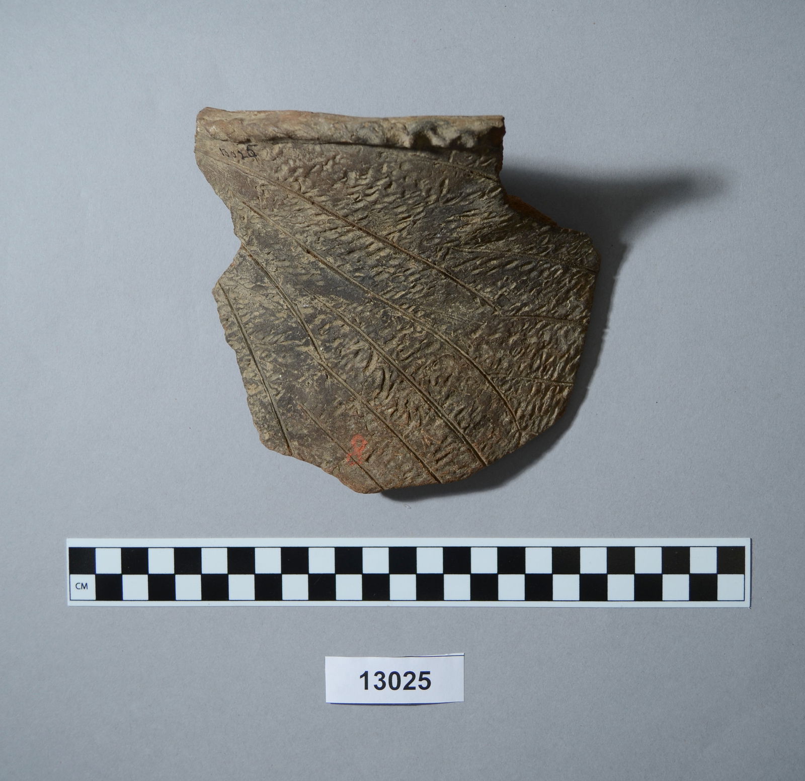 284037