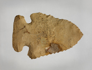 455A