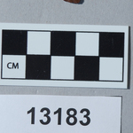 285398