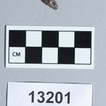 285464