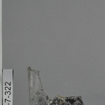 287426