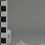 287529