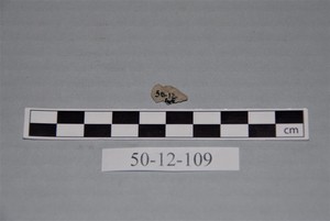 50-12-109