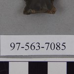 288834