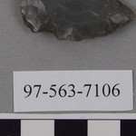 288876
