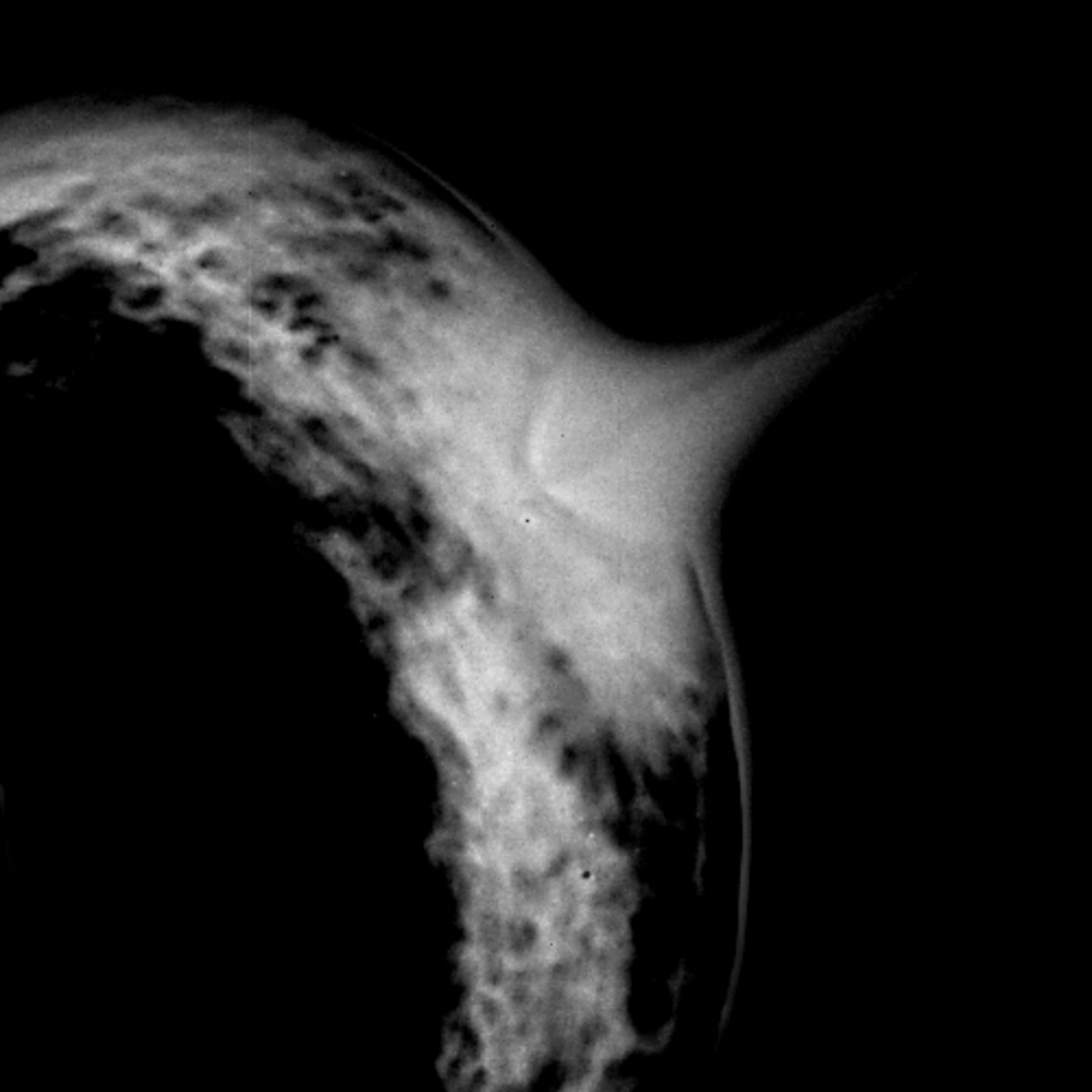 289747
