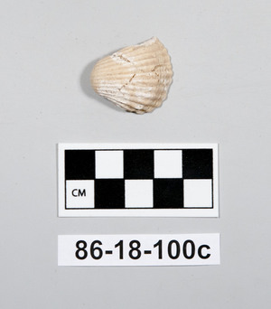 86-18-100C