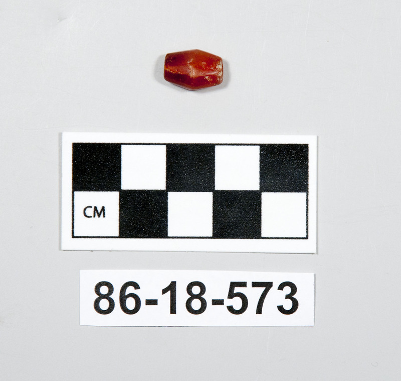291486