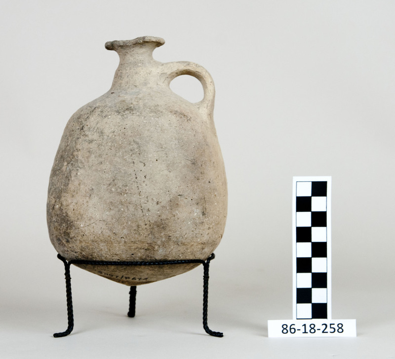 291566
