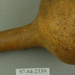 293766