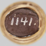 294864
