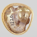 294980