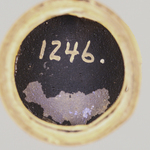 295023
