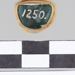 295031