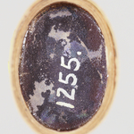 295043