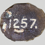 295047