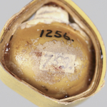 295049
