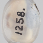 295059