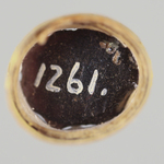295060