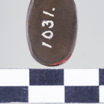 295186