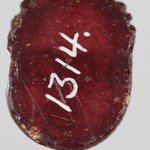 295443