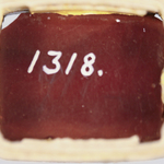 295457