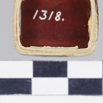 295463