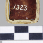 295481