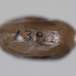 295497