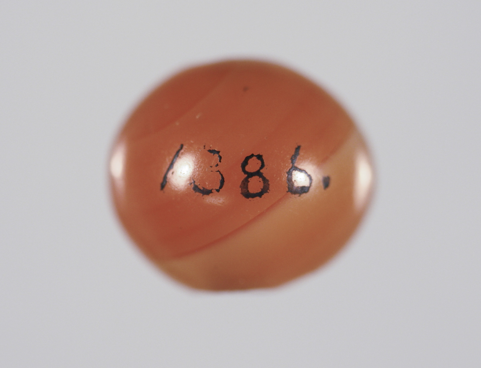 295532