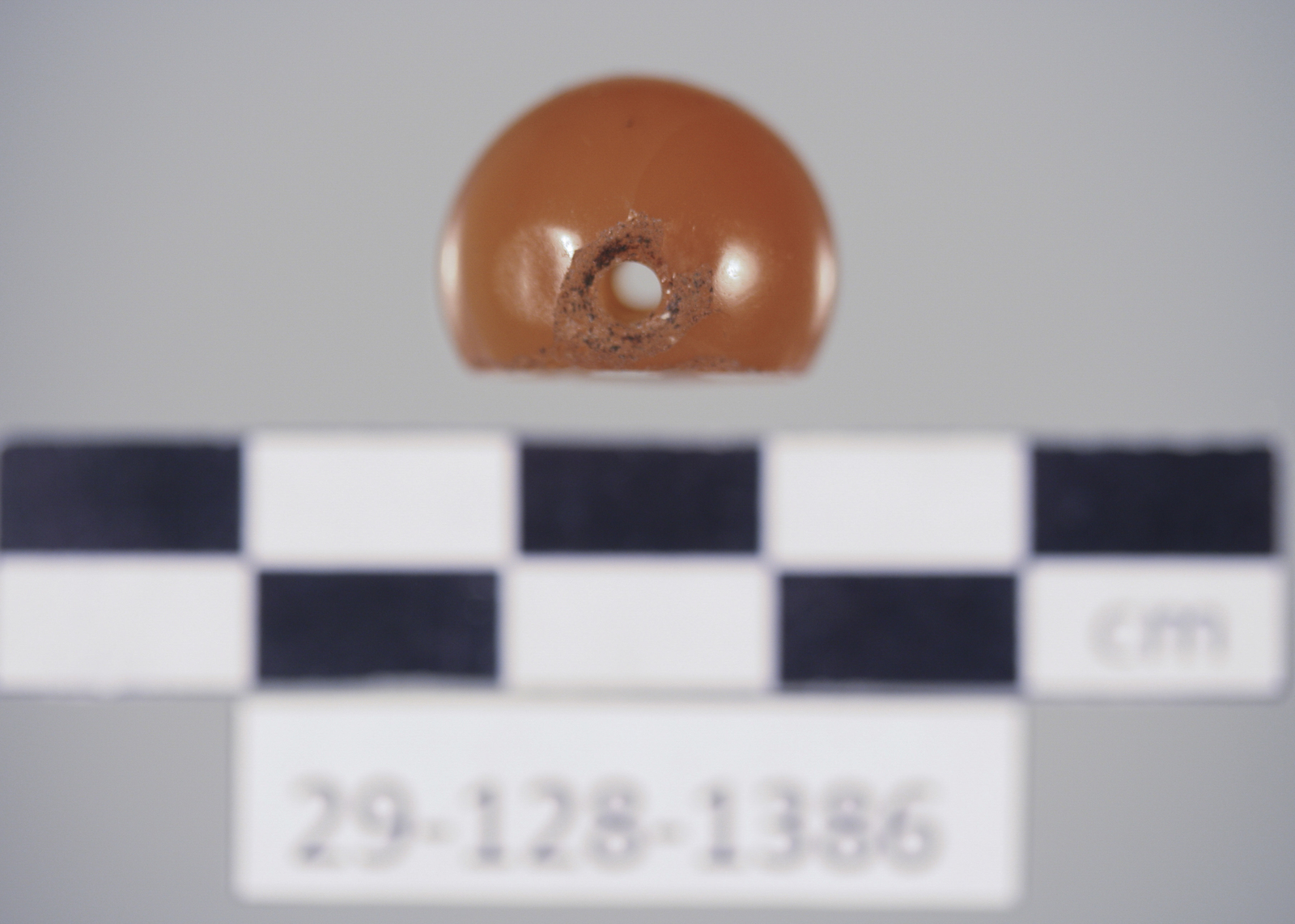 295539