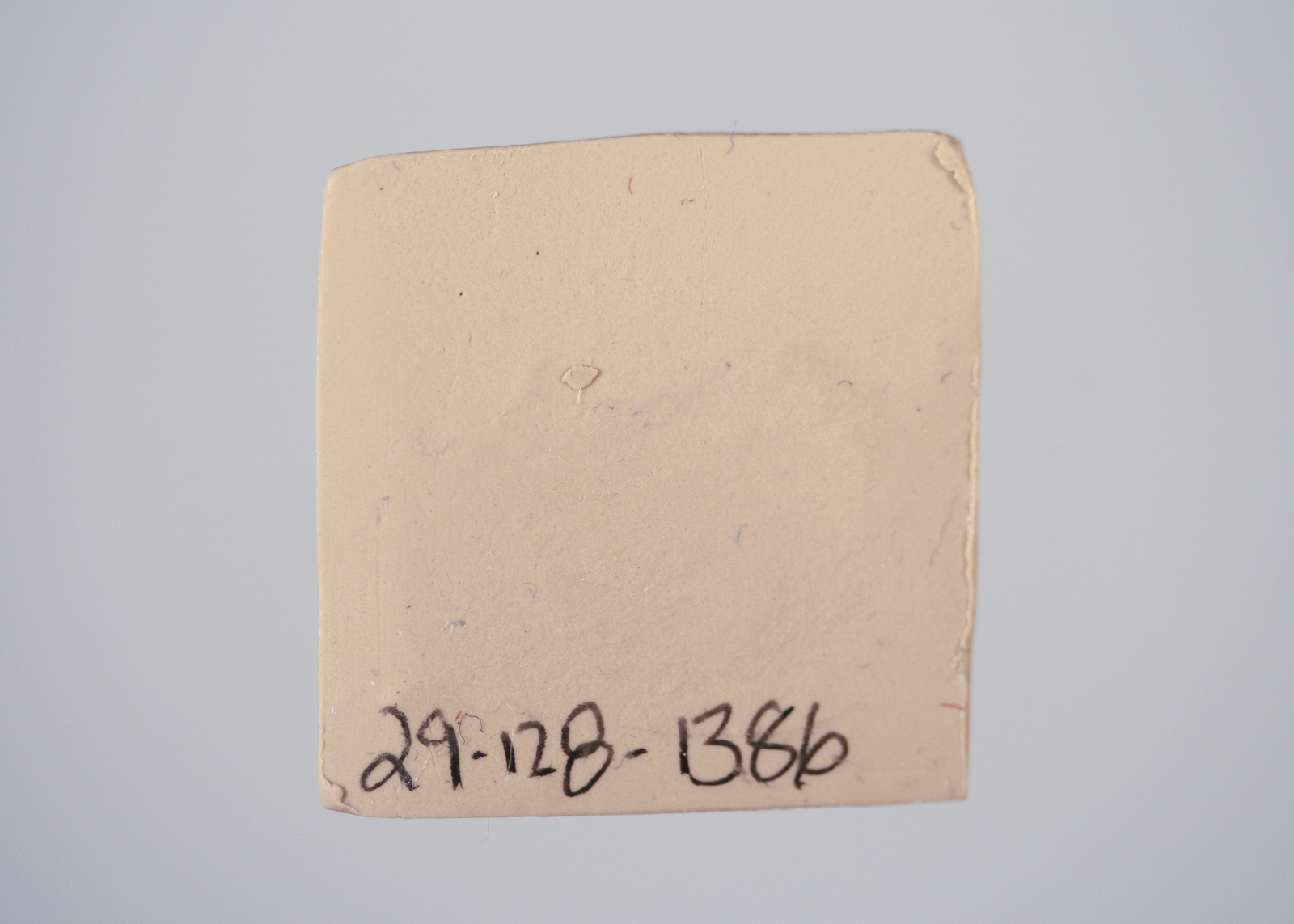 295543