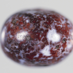 295681