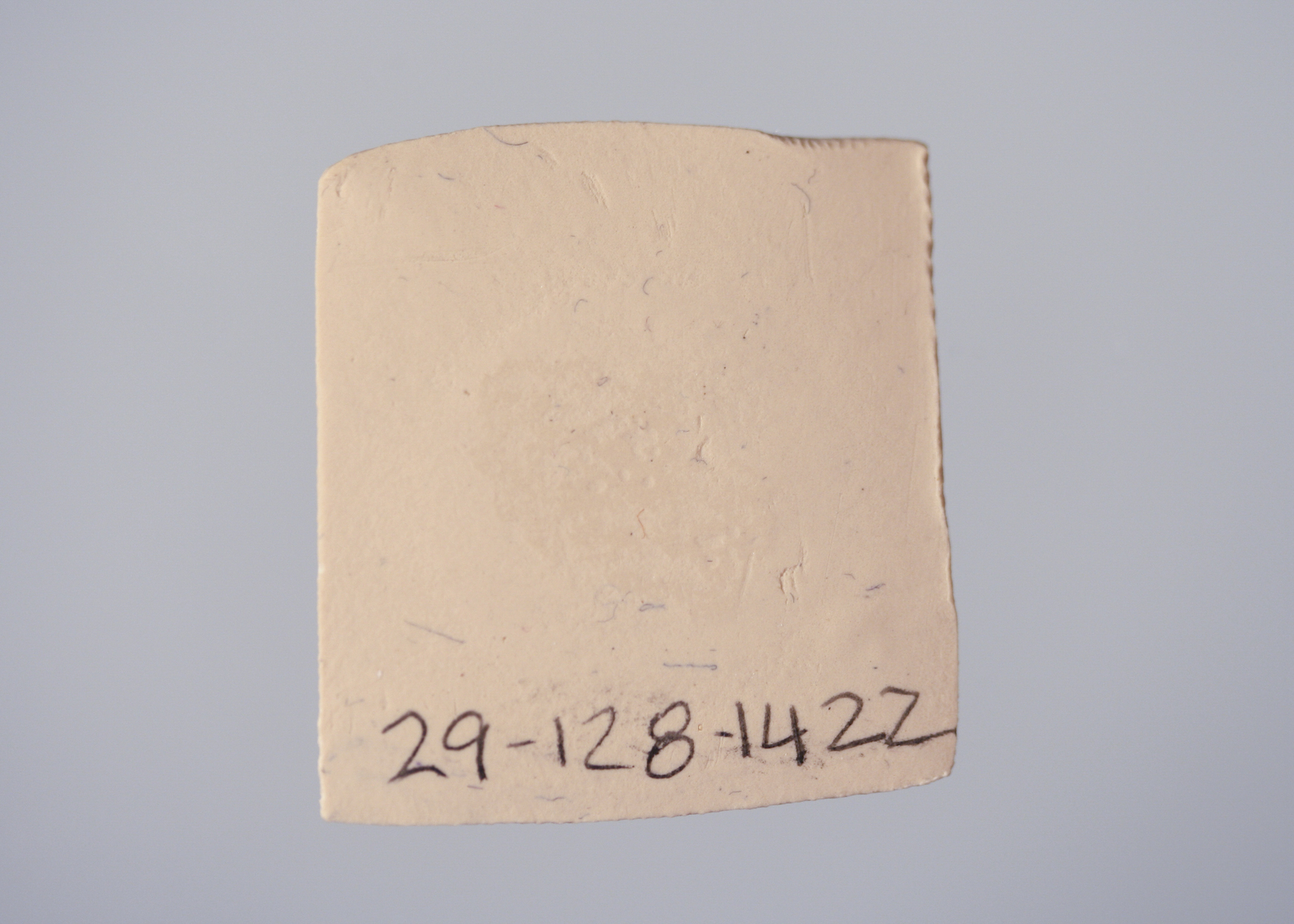 295691