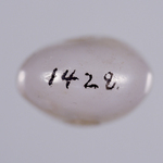 295724