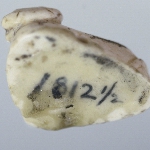 295973