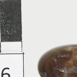 296032