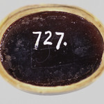 297385
