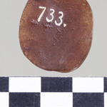 297405