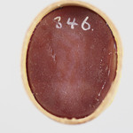 297438