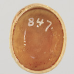 297439