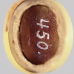 298047