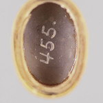 298060