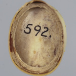 299381