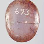 299455