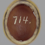 299682