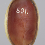 299710