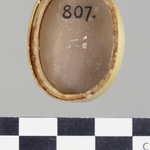 299738