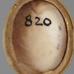 299763
