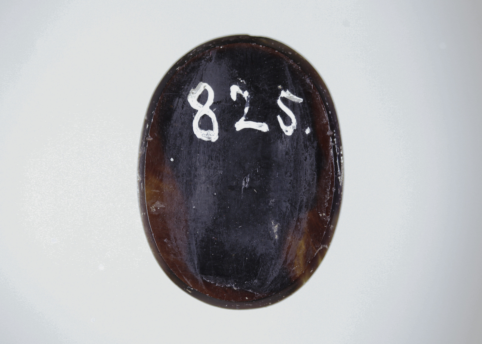 299778